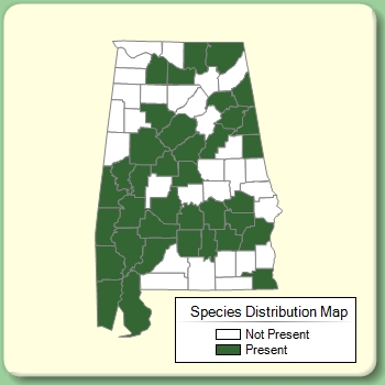 Species Distribution Map