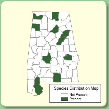 Species Distribution Map