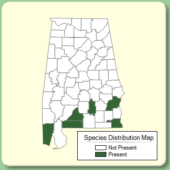 Species Distribution Map