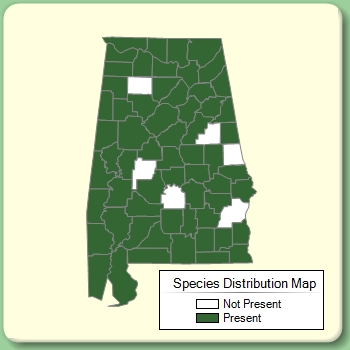 Species Distribution Map