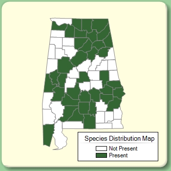 Species Distribution Map