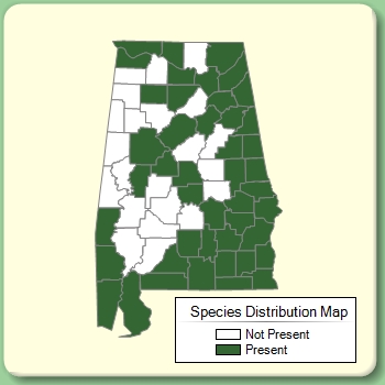 Species Distribution Map