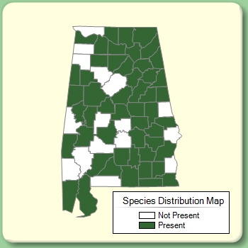 Species Distribution Map