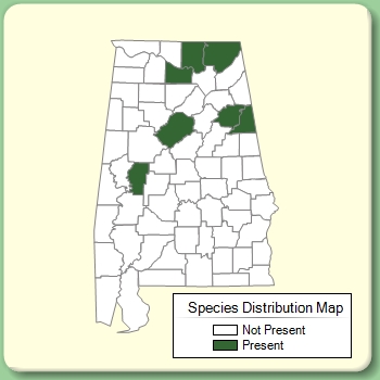 Species Distribution Map