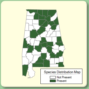 Species Distribution Map