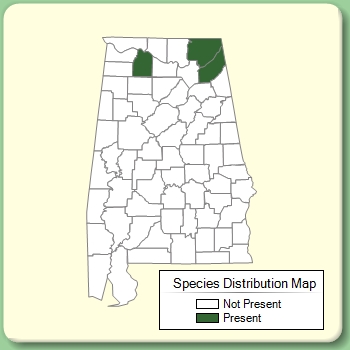 Species Distribution Map