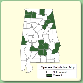 Species Distribution Map