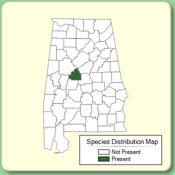 Species Distribution Map