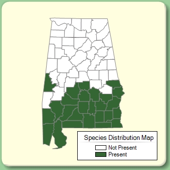 Species Distribution Map