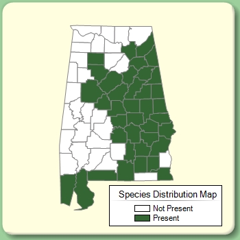 Species Distribution Map