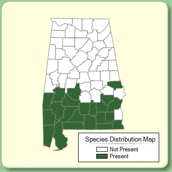 Species Distribution Map