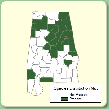 Species Distribution Map