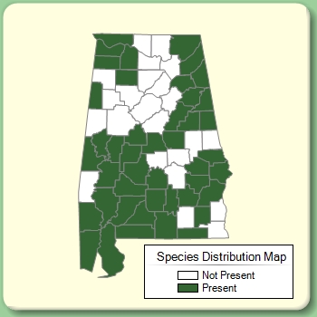 Species Distribution Map