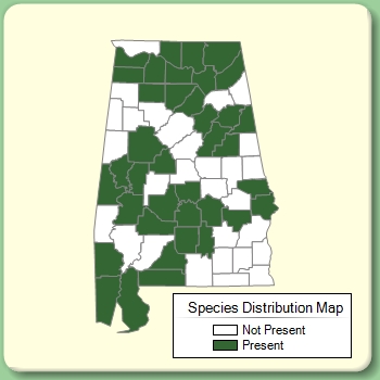 Species Distribution Map