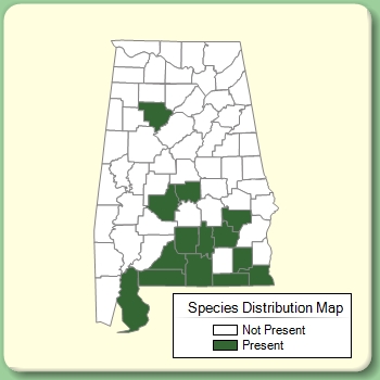 Species Distribution Map