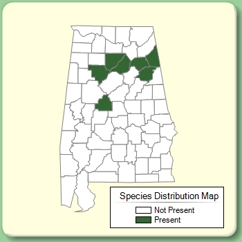 Species Distribution Map