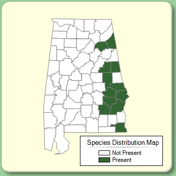 Species Distribution Map