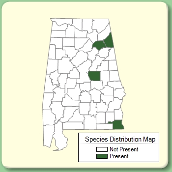 Species Distribution Map