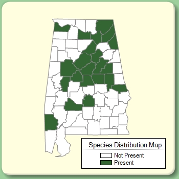 Species Distribution Map