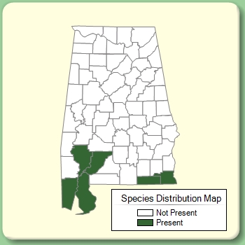 Species Distribution Map