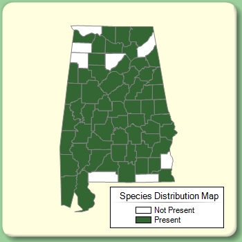 Species Distribution Map