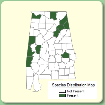 Species Distribution Map