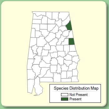 Species Distribution Map