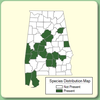 Species Distribution Map