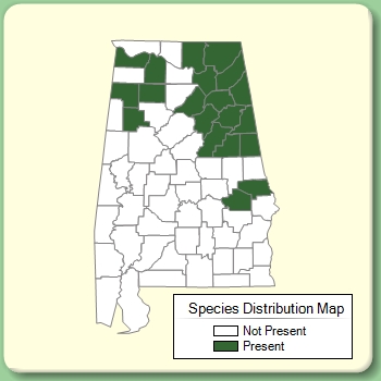 Species Distribution Map