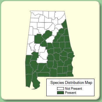 Species Distribution Map