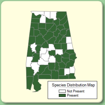 Species Distribution Map