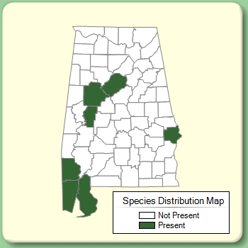 Species Distribution Map