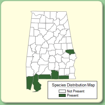 Species Distribution Map