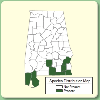 Species Distribution Map