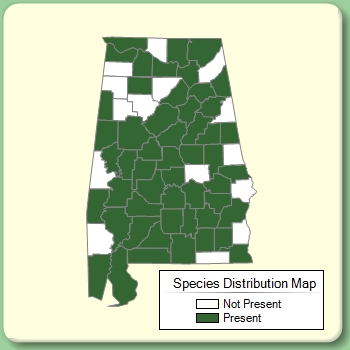 Species Distribution Map