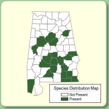 Species Distribution Map