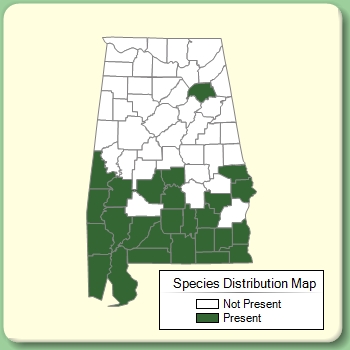 Species Distribution Map