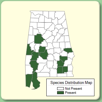 Species Distribution Map