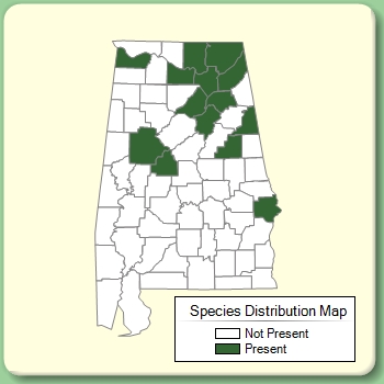 Species Distribution Map