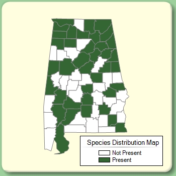 Species Distribution Map