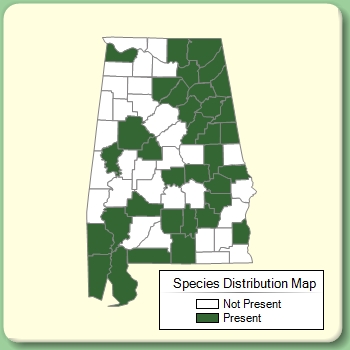 Species Distribution Map