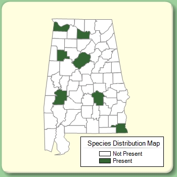 Species Distribution Map