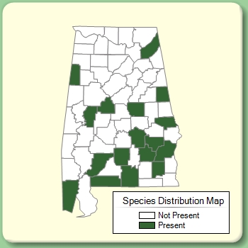 Species Distribution Map