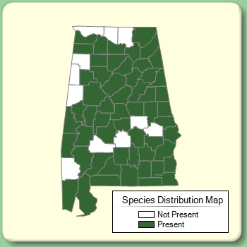 Species Distribution Map