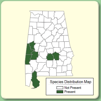 Species Distribution Map