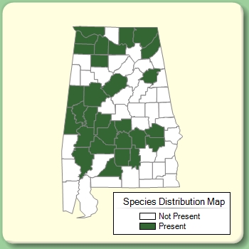 Species Distribution Map