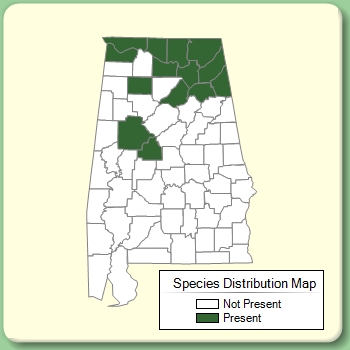 Species Distribution Map