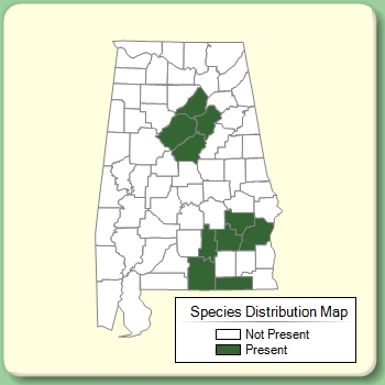 Species Distribution Map