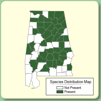 Species Distribution Map