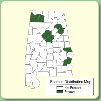 Species Distribution Map